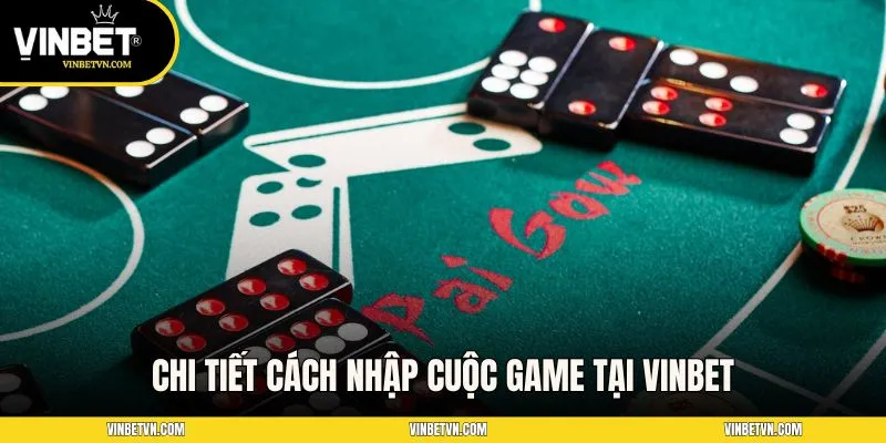 Chi tiết cách nhập cuộc game tại Vinbet