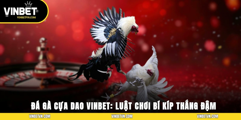 Đá Gà Cựa Dao Vinbet: Luật Chơi, Bí Kíp Thắng Đậm