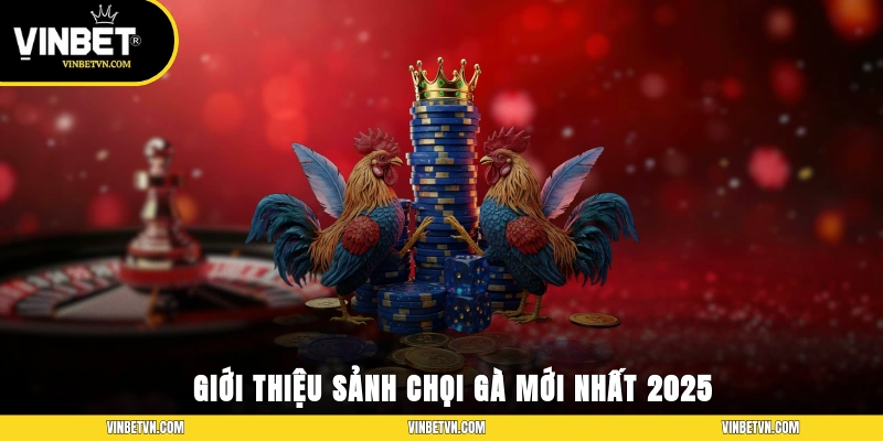 Giới thiệu sảnh chọi gà mới nhất 2025