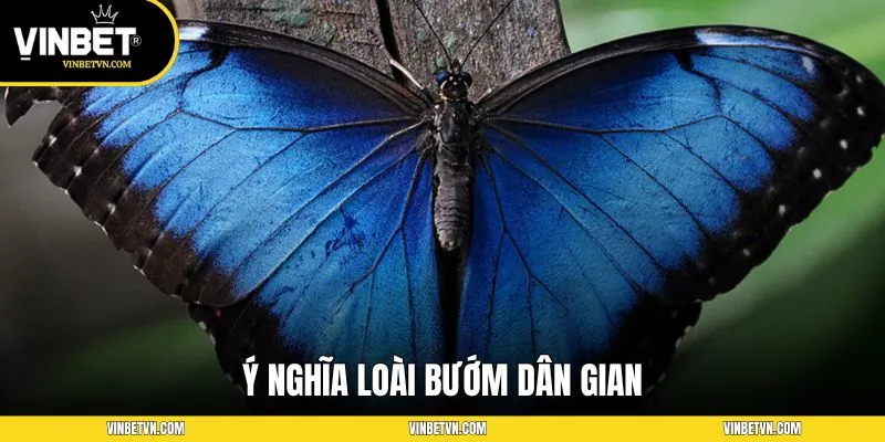 Ý nghĩa loài bướm dân gian